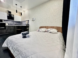 Снять однокомнатную квартиру Театральная ул, 30  м&sup2;, 2520 рублей