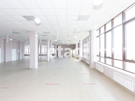 Сдается Помещение Ломоносова ул, 333  м², 149850 рублей