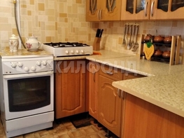 Продается Дом Центральная ул, 58.7 м², участок 23 сот., 4700000 рублей