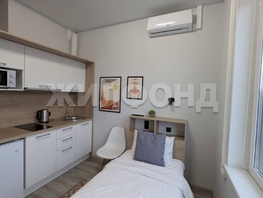 Продается Апартамент АК Место, 17.2  м&sup2;, 4050000 рублей
