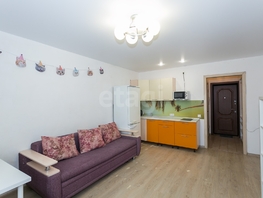 Продается Студия Виктора Уса ул, 22.6  м&sup2;, 2620000 рублей