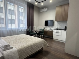 Продается Студия Ядринцевская ул, 23.9  м&sup2;, 5000000 рублей