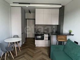 Продается Студия Михаила Кулагина ул, 21  м&sup2;, 6100000 рублей