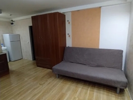 Снять однокомнатную квартиру Каменская ул, 20  м&sup2;, 2000 рублей