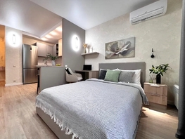 Снять однокомнатную квартиру Красный пр-кт, 29  м&sup2;, 4866 рублей