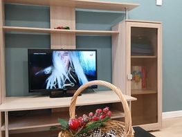 Снять двухкомнатную квартиру Толбухина ул, 52  м&sup2;, 3100 рублей