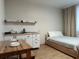 Снять однокомнатную квартиру Немировича-Данченко ул, 24  м&sup2;, 2790 рублей