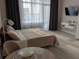 Снять однокомнатную квартиру Гаранина ул, 30  м&sup2;, 3000 рублей