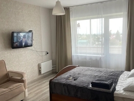 Снять однокомнатную квартиру Чкалова ул, 40  м&sup2;, 3100 рублей