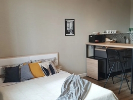 Снять однокомнатную квартиру Костычева ул, 30  м&sup2;, 2890 рублей
