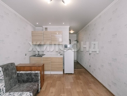 Продается Студия Виктора Уса ул, 20 м², 2350000 рублей