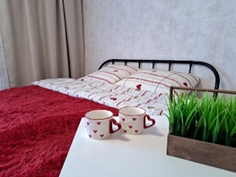 Снять однокомнатную квартиру Светловская ул, 25  м&sup2;, 3000 рублей