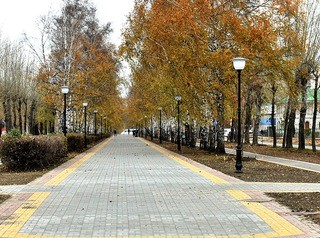 Барнаульцы выбирают парки и скверы для благоустройства в 2020 году