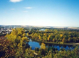 210 участков в Смоленщине исключены из лесного реестра