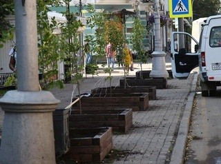 В Иркутске за лето высадят больше 8 тысяч молодых деревьев