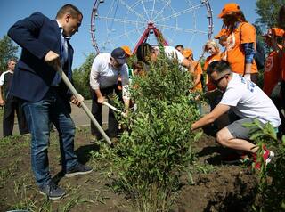 В историческом центре Иркутска высаживают новые деревья