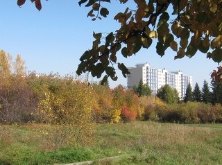 Несколько земельных участков в Академгородке собираются передать ДОМ.РФ