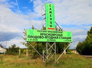 Проект района «Плодово-Ягодный» вынесли на слушания