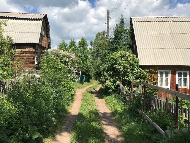 До окончания «дачной амнистии» остался год, напомнили в Росреестре